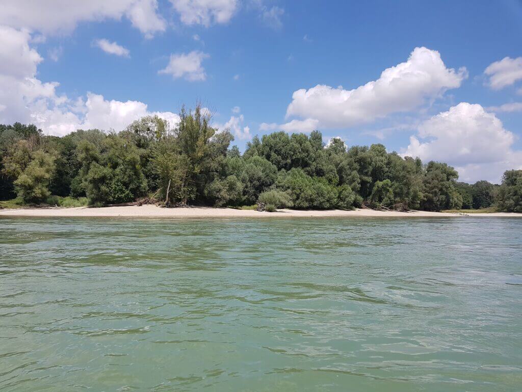 Dunaj je úžasná řeka na koupání a většinou břehy lemují oblázkové pláže